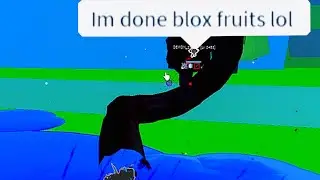 The Most Toxic Build in blox fruits (pls nerf)