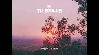 tu brillo - akup (visualizer)