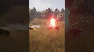 armour BBQ