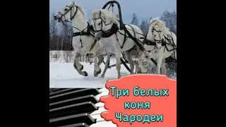 Три  белых коня --- Чародеи на пианино.