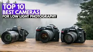 Top 10 Best Cameras for Low Light Photography in 2026 | Capture Stunning Shots in the Dark
