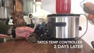 Make Water Kefir Without Starter Grains