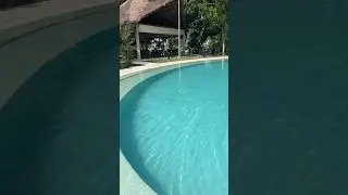 Температура в Канкуне этой весной выше, чем обычно. Сейчас в среднем +32 🌞 #мексика #канкун
