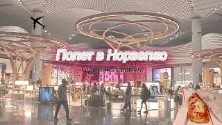Полет в Норвегию/Стамбул/Часть 1