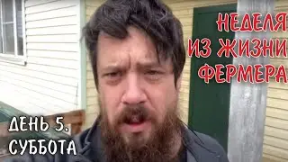 Дорога домой! Суббота - день пяти! (Неделя на фермы мечты, осень 2023!!!)