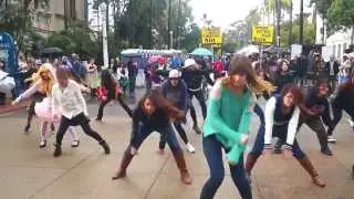 【San Diego K-pop Flash Mob】December Nights 2013【Day Performance】