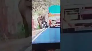 wild elephant attacks biker II wild elephant