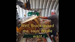 Turning a Giant Log on the Sawmill 