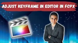 How To Adjust Keyframes In The Audio Animation Editor In Final Cut Pro