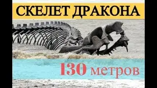 Скелет огромного дракона или змеи у берега Франции (скульптура)