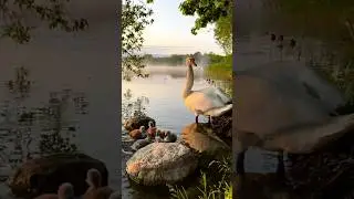 Иногда люди скрывают свои глубокие раны 💔❤️‍🩹 #shorts