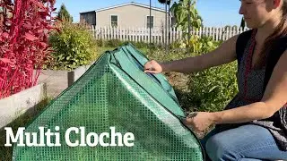 Multi Cloche