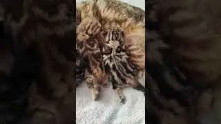 Я раскусила их хитрый план😃👍