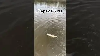 #дрон #mini4pro #djimini4pro #drone #видеосъемка #варшава #приключения #fishing #рыбалка #dji