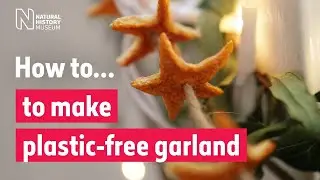 How to make a plastic-free garland | Natural History Museum (Audio Described)