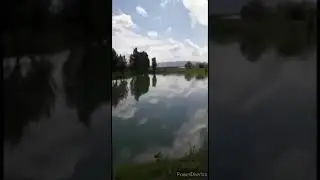 Стихи Карона Вируса Красиво