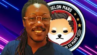 DOGELON MARS T/A UPDATE
