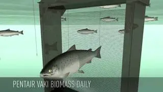 Pentair VAKI Biomass Daily
