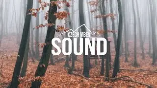 Stian - ghost of you