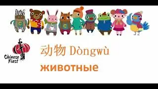 Китайский язык для детей. Учим животных с Chinese First.  Стих про мишку.