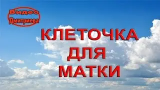 Клеточка из шприца за 1 мин