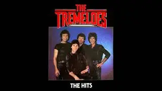 The Tremeloes - My Little Lady (REGGAE VERSION!!!)
