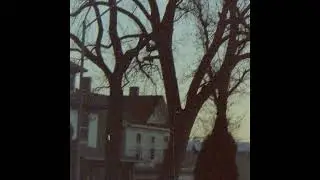(FREE FOR PROFIT) ssshhhiiittt / slowdive / shoegaze type beat