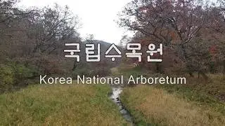 광릉수목원