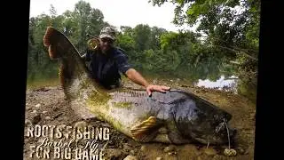 Giant catfish on the fly ! 2.54m on Wt 12
