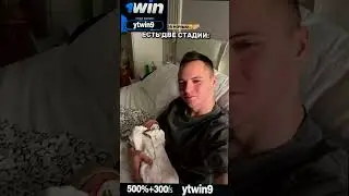 ДИМАС БЛОГ И ВТОРОЙ МАЛЫШ #димасблог #аняищук #tiktok #shorts #хайпхаус #reels  #shorts