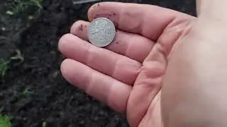 Deus 2,прошивка 3.03?🤢сыромятина.