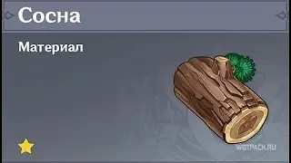 Genshin Impact. 57 ранг только щас узнала об этом (где добыть сосну в начале игры)
