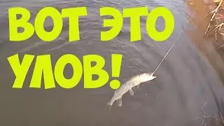 Рыбалка. Ловля спиннингом с берега щуки и окуня.Fishing spinning from coast pike and perch .
