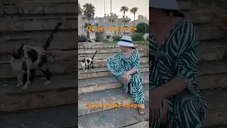 Дорогие! Новый телефон со мной, после отпуска начну вести эфиры снова. Ждете?