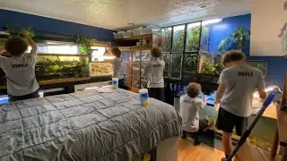 ALWAYS Problems in the Reptile Room! | Bearded Dragon Feeding ASMR | DIY Reptiles