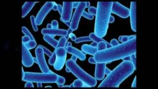 Zaupajte naravi in ne plastenkam! Aquavallis Slovenija