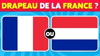🚩 Lequel est le VRAI DRAPEAU...? 🤔 Quiz Devine le Drapeau 🌍