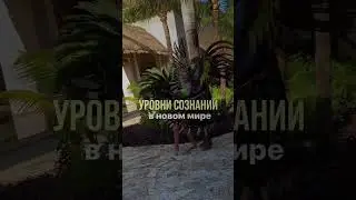 Подробную информацию читай в описании или в моем телеграм канале! 