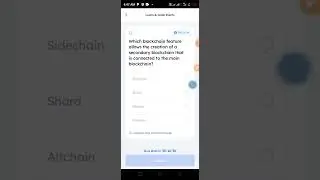 Which blockchain features  allows the creation of a secondary Blockchain that is connected to the..