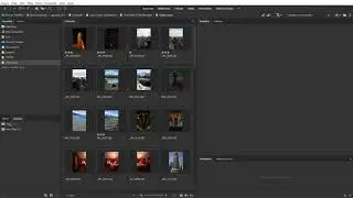 Adobe Bridge - Trabalhando com Coleções!