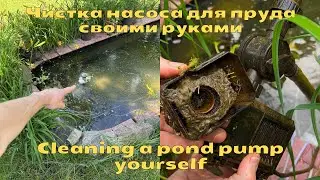 Чистка насоса для пруда своими руками | Cleaning a pond pump yourself