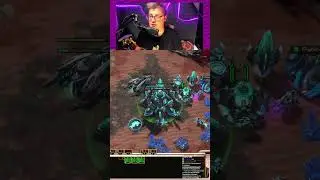 Хлебное наслаждение #medoed #starcraft #медоед #старкрафт