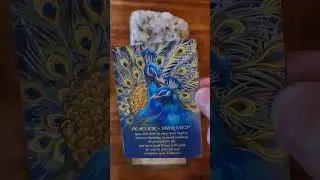 Message of the day #tarot #fortunecards #fortune #angel #fortunereading #prediction
