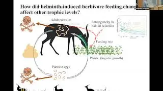Implications of individual variation in parasite-induced anorexia in herbivores for plant biomass.
