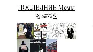 ПЕРСПЕКТИВНАЯ МОНЕТА DOGGGO