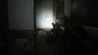 Don't you miss - Escape From Tarkov