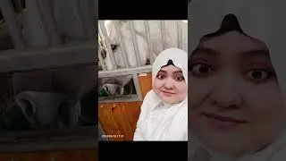 Гает бэйрэме,прогулка