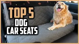 ✅Top 5 Best Dog Car Seats of 2024