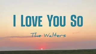 The Walters - I Love You So (Lirik+Terjemahan) ~i hope you feel what i felt when you shattered...