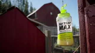 Fly Trap Max